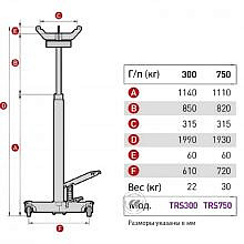 MEGA TRS300