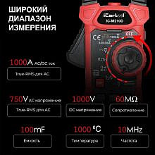 iCartool IC-M210D