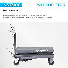 Nordberg N3T301G