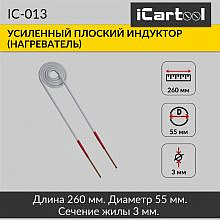 iCartool IC-013