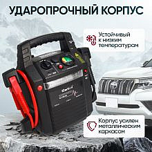 iCartool IC-CBL36